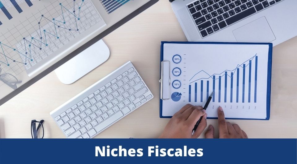 les niches fiscales disponibles